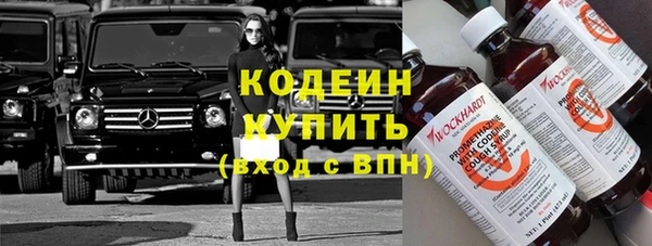 прущие грибы Нея