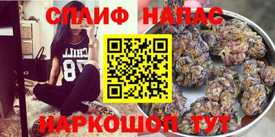 дурь Кингисепп