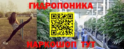 спайс Кимры