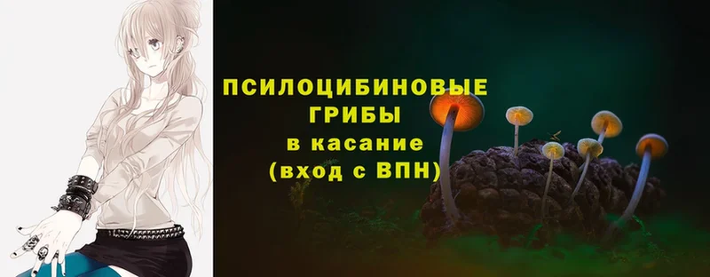 мориарти формула  Лосино-Петровский  Галлюциногенные грибы Psilocybe 