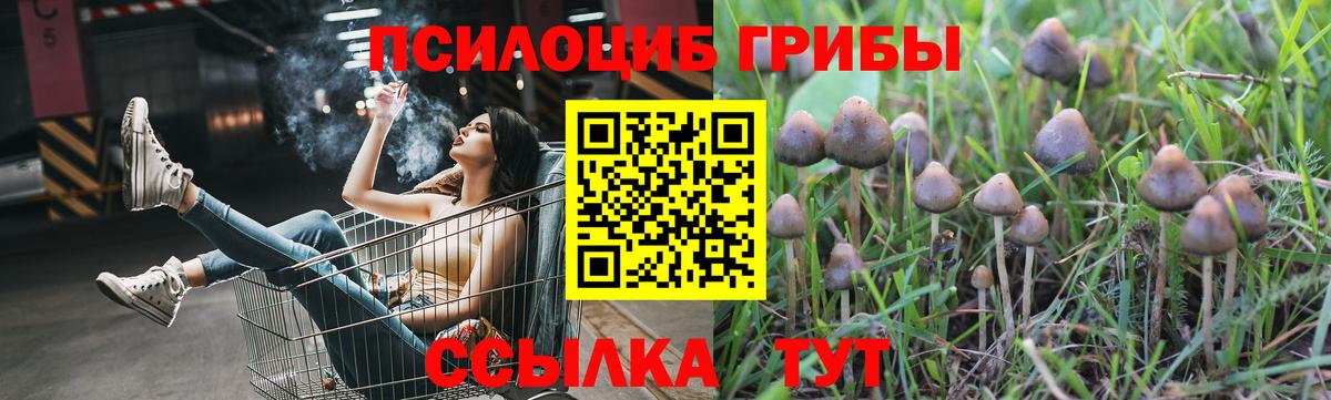 Лосино-Петровский  Галлюциногенные грибы мухоморы  Вход с VPN 